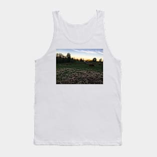 Scottish Highland Cattle Cows 2397 Tank Top